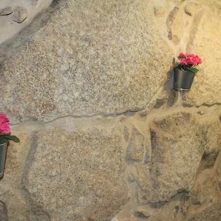 Alfandegaporto Apartment