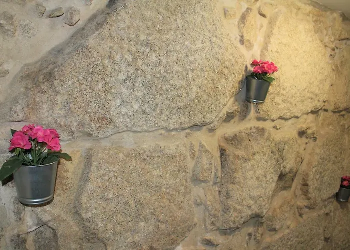 Alfandegaporto Lägenhet